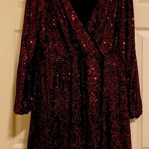 Forever 21 Plus Size Beautiful Party Dress Size 2X